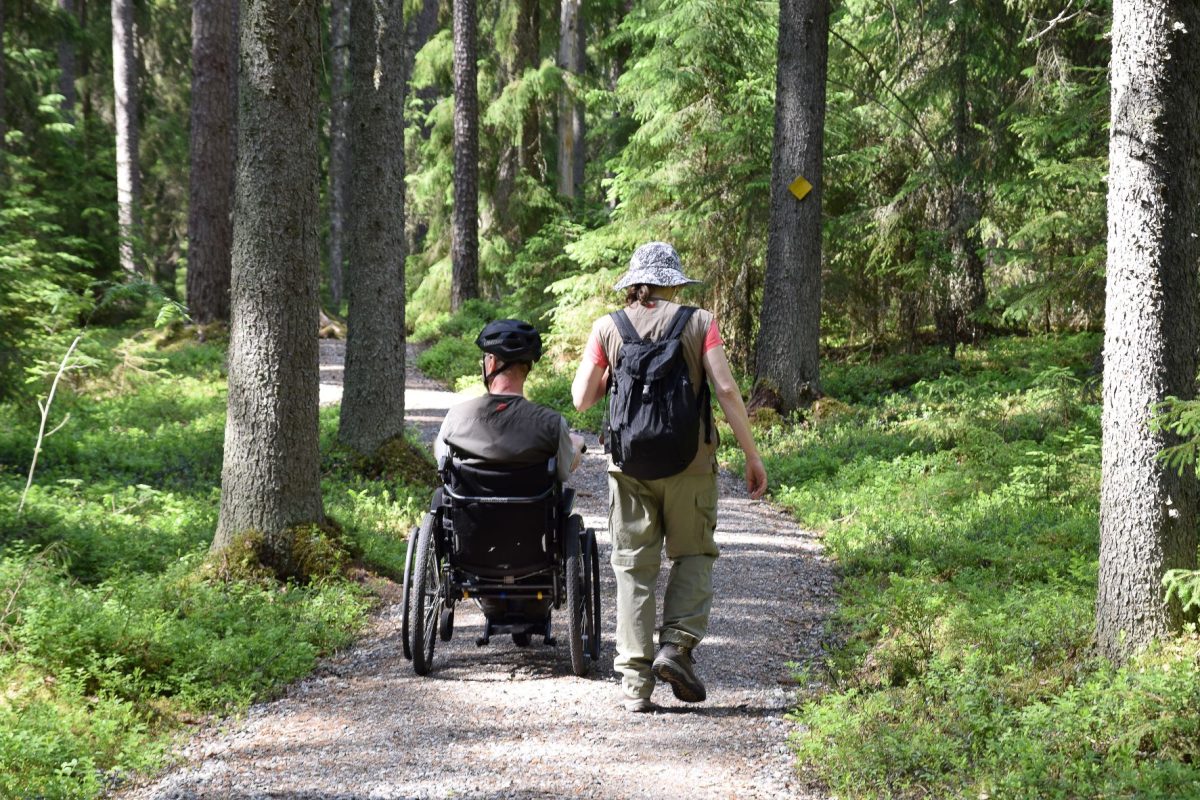 Kuvassa kaksi henkilö kävälee metsäpolulla. Toiinen henkilö kulkee pyörätyolilla.